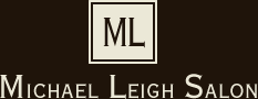 ML Salon Logo